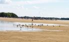 São Pedro do Paraná