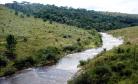 Rio das Mortes