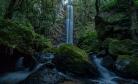 Salto Puxa Nervos