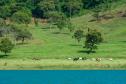 Rio Paranapanema Represado
