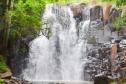 Cachoeira do Rio Lageado