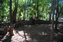 Parque Ecológico