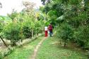 Salto Parati