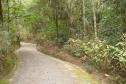 Trilha no Parque Ecoturístico Municipal São Luis de Tolosa