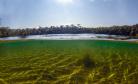 Lagoa Dourada
