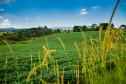 Área Rural 1