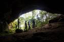 Caverna do Tigre