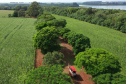 Itaipulândia