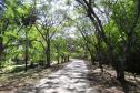 Parque Alambari