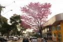 Natureza na Cidade