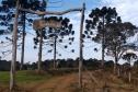 Campo do Meio
