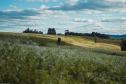 Paisagem Rural