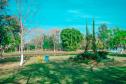 Parque Ambiental Fundo de Vale