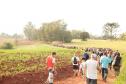 Caminhada na Natureza