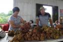 Feira do Kiwi Amarelo