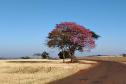 Paisagem Rural