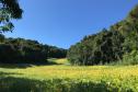 Paisagem rural