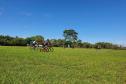 Foto do cicloturismo em Campos Gerais