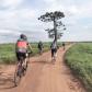 Foto: Diego Reis - IAT Campo Mourão