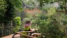 Parque das Aves - Foto divulgação(1)