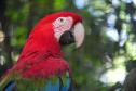 Parque das Aves - Foto divulgação(1)