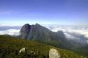 Grande Reserva Mata Atlântica vence prêmio internacional de turismo responsável