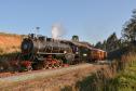Trem dos Tropeiros: locomotiva a vapor percorre trajeto repleto de história a partir da Lapa