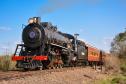 Trem dos Tropeiros: locomotiva a vapor percorre trajeto repleto de história a partir da Lapa