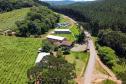 Série Inverno no Paraná - Vinhos