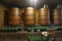 Série Inverno no Paraná - Vinhos