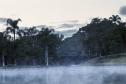 Frio de Curitiba