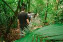 Notícia - Grande Reserva da Mata Atlântica tem atividades especiais no final de semana do Dia dos Pais