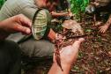 Notícia - Grande Reserva da Mata Atlântica tem atividades especiais no final de semana do Dia dos Pais
