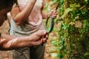 Notícia - Grande Reserva da Mata Atlântica tem atividades especiais no final de semana do Dia dos Pais