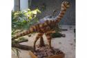 Notícia - Vale dos Dinossauros: Cruzeiro do Oeste recebe título que reforça turismo científico