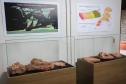 Notícia - Vale dos Dinossauros: Cruzeiro do Oeste recebe título que reforça turismo científico