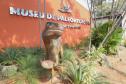 Notícia - Vale dos Dinossauros: Cruzeiro do Oeste recebe título que reforça turismo científico