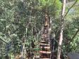 Notícia - Dois parques do Paraná estão entre os dez melhores do Brasil, conforme avaliações de plataforma