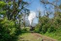 Notícia - Natal sobre trilhos: uma programação especial a bordo da locomotiva mais antiga do Paraná 