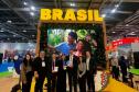 Lonely Planet coloca Curitiba entre as 10 melhores cidades do mundo para visitar em 2025