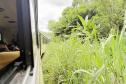 Estrada de Ferro Paranaguá-Curitiba celebra 140 anos de história, desenvolvimento e turismo