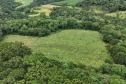 Capital do Vinho do Paraná, Bituruna é destaque em roteiro nacional de enoturismo