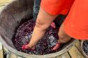 Capital do Vinho do Paraná, Bituruna é destaque em roteiro nacional de enoturismo