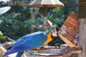 Divulgação Parque das Aves