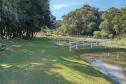 Rota das Lavandas Paraná