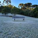 Série Inverno no Paraná - Vinhos