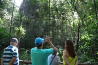 Viaje Paraná é integrado à UN Tourism para fortalecer o turismo sustentável