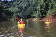 Viaje Paraná é integrado à UN Tourism para fortalecer o turismo sustentável