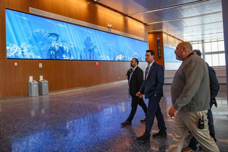 Foto: Jonathan Campos/AEN