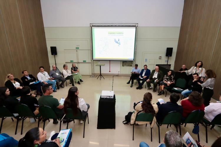 Festival Internacional de Turismo Cataratas (FIT)